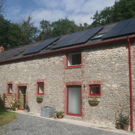 Creatively Converted Barn In Accessible Rural Spot Llanwrda Екстер'єр фото